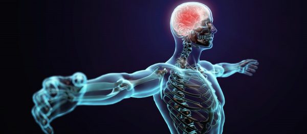 5 selected neurology services for Recklinghausen and the surrounding area – expert medical assessment of nervous system disorders